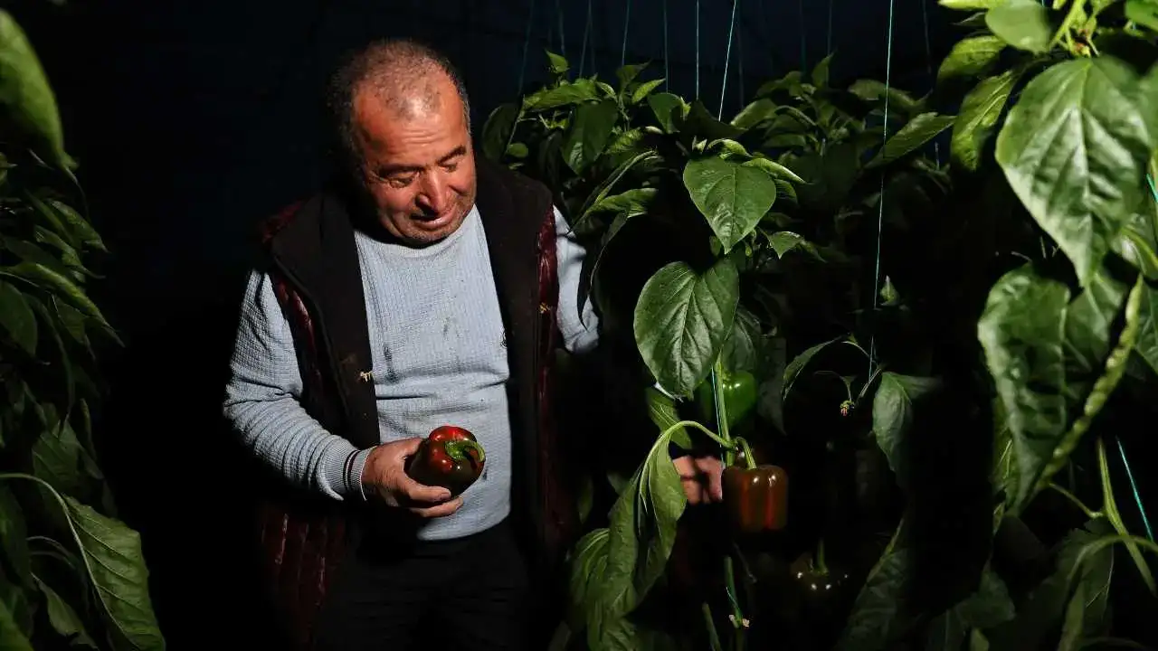 Antalya’da Don Nöbeti Tarihe Karışıyor 1